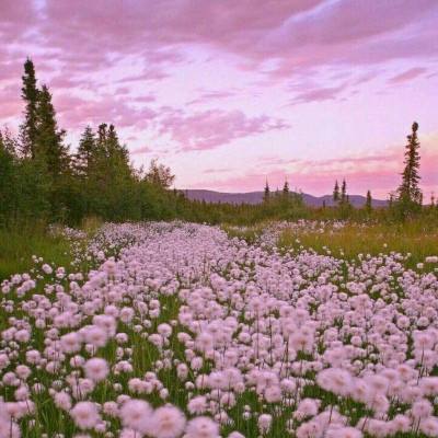 Bsports网页版截图