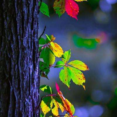 Bsports网页版截图